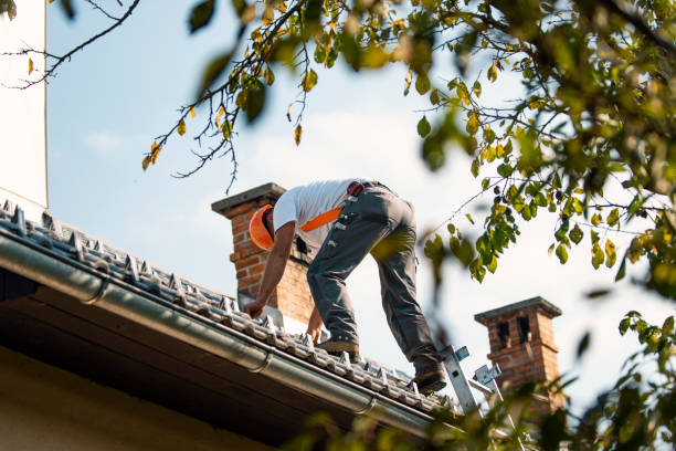 Best Roof Leak Repair  in Taylor Creek, OH