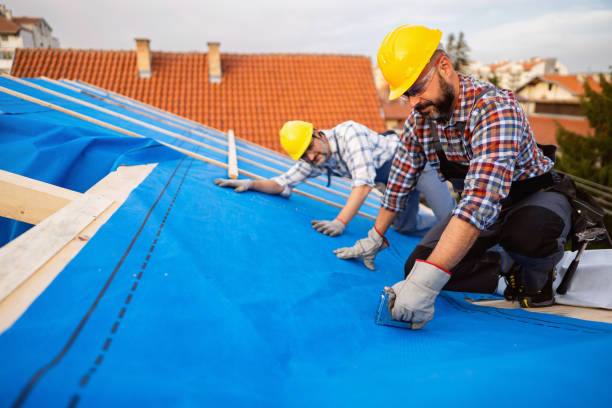 Best Roof Coating and Sealing  in Taylor Creek, OH