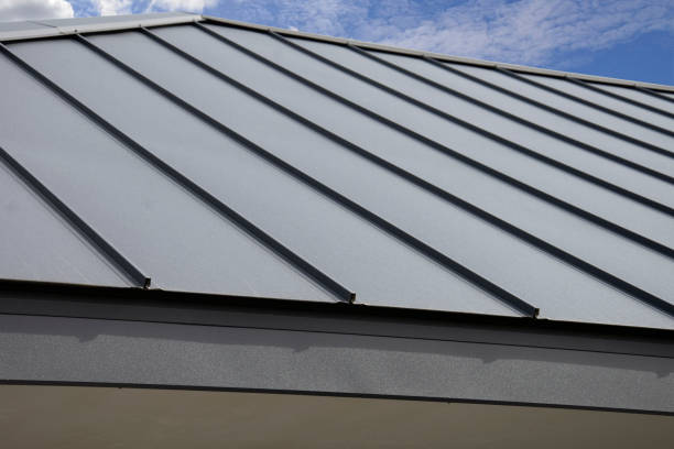 Best Metal Roofing Installation  in Taylor Creek, OH